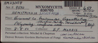 Image Associated With the Occurence